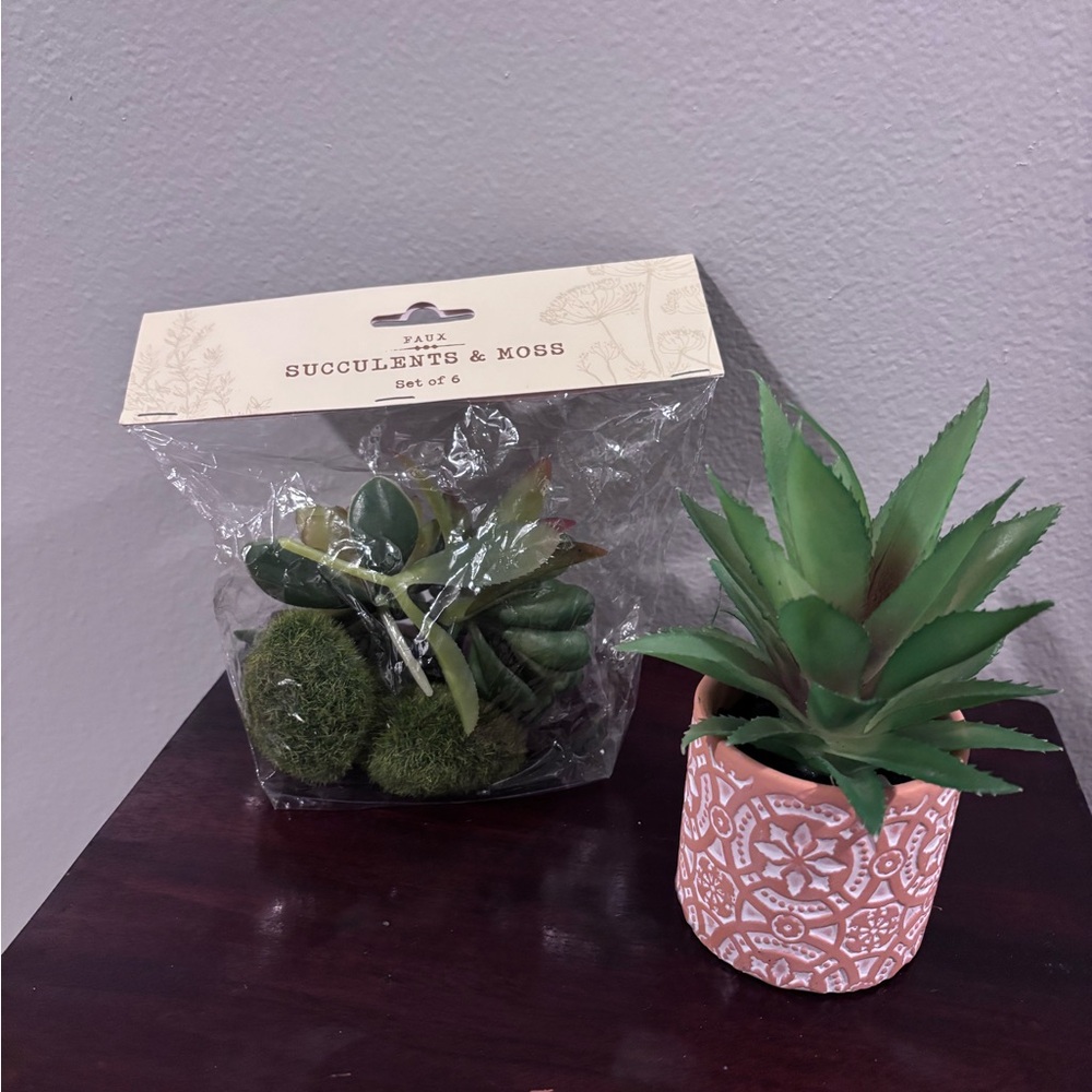 NWT in bag. Cost Plus World Market Faux Succulents/moss. And Small plant.